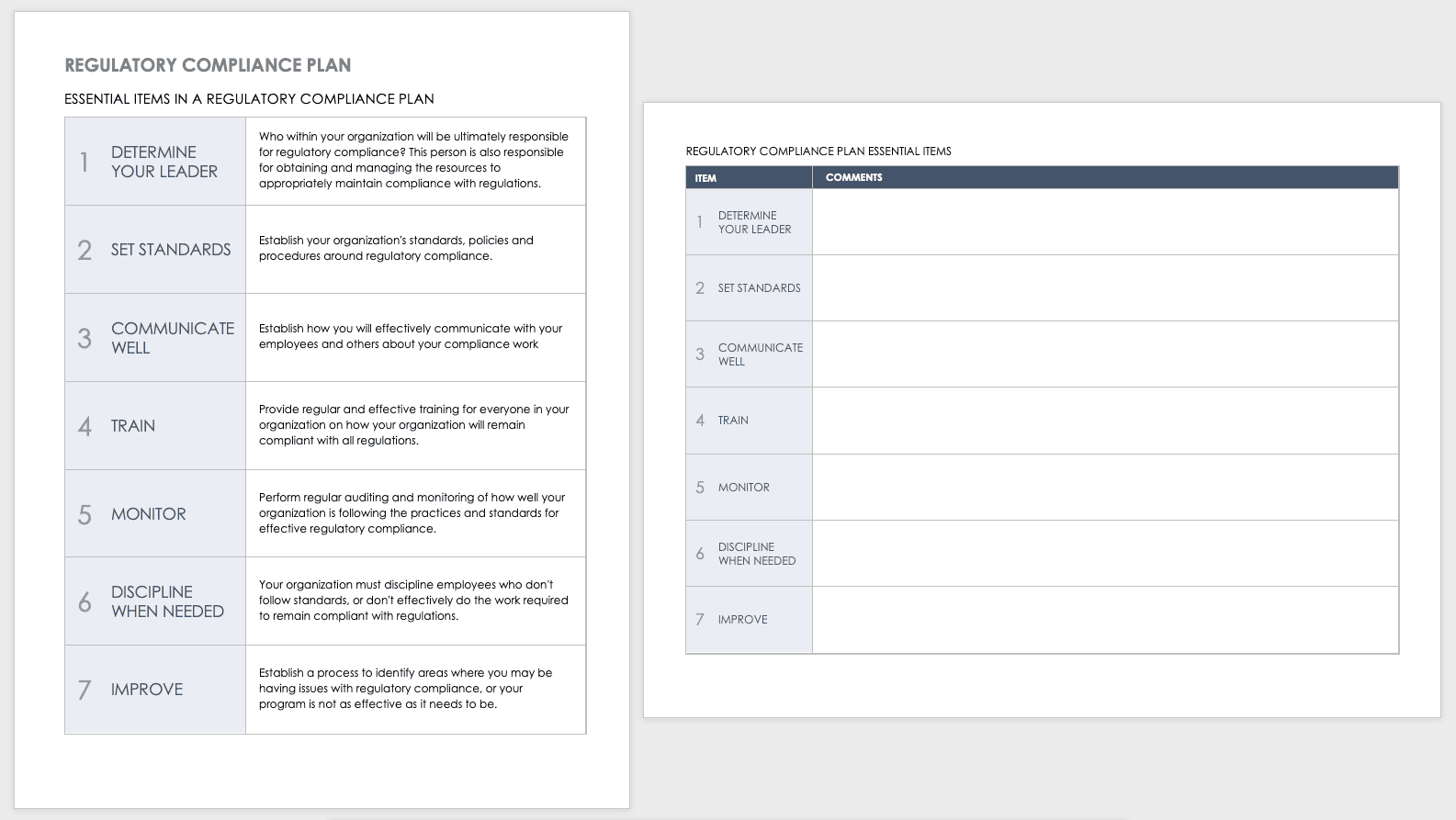 Regulatory Compliance Plan Template