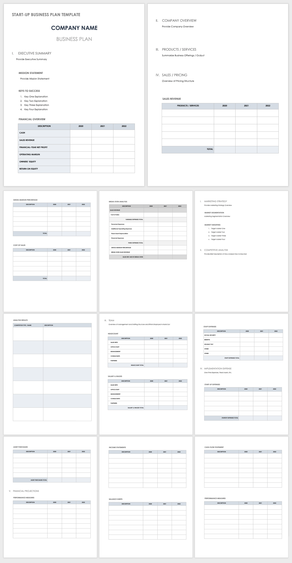 Startup Business Plan Template