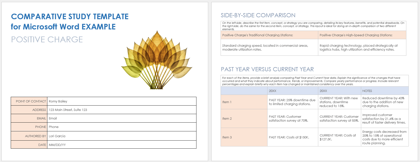 Comparative Study Example Template for Microsoft Word