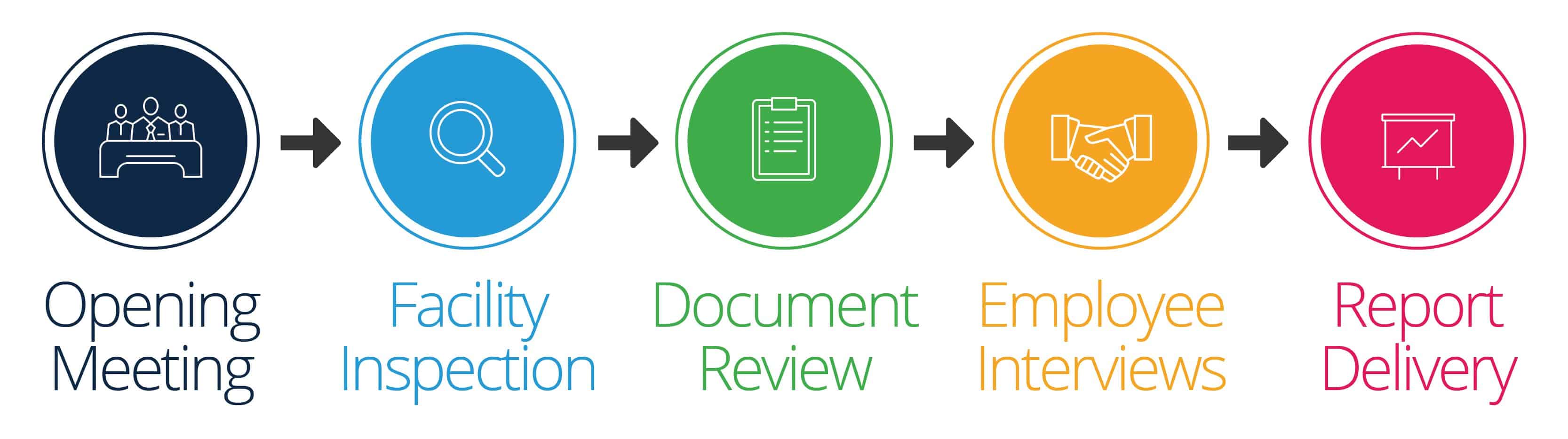 Audit Process