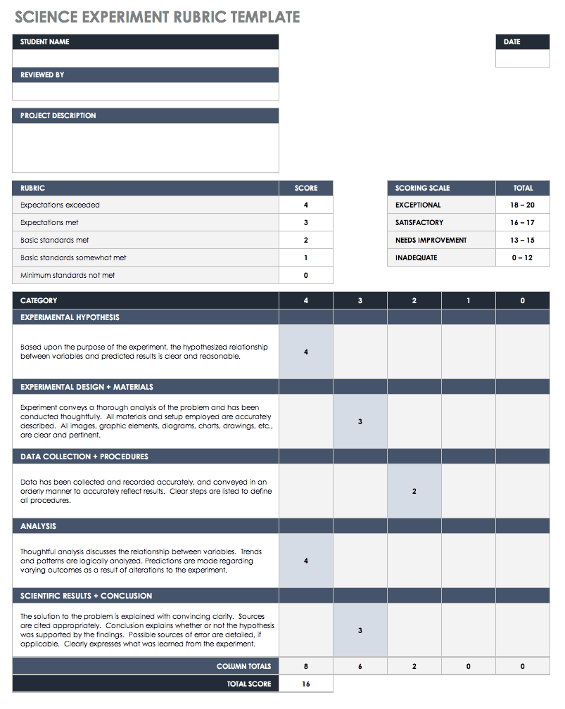 Science Experiment Rubric Template